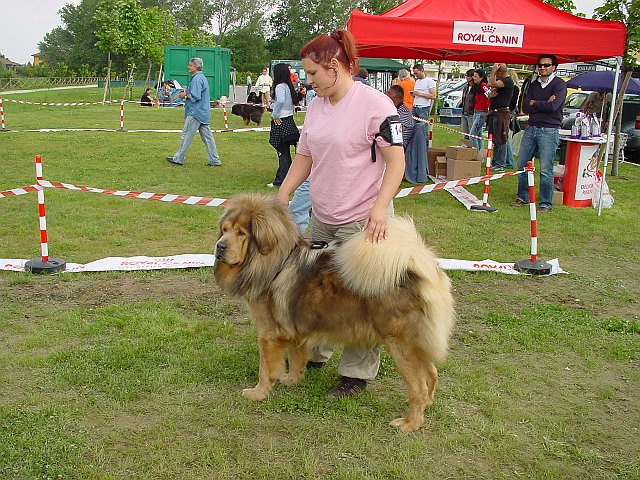 Immagine 029.jpg